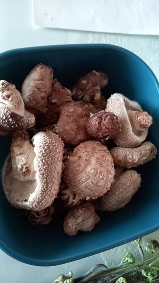 강현숙님의 자유주제 · 자유게시판 작성글 사진