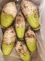 팜모닝 · 게시글 이미지