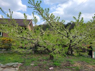 땅땅님의 자유주제 · 자유게시판 작성글 사진