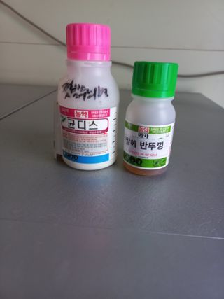 심무재 님의 자유주제 · 자유게시판 작성글 사진