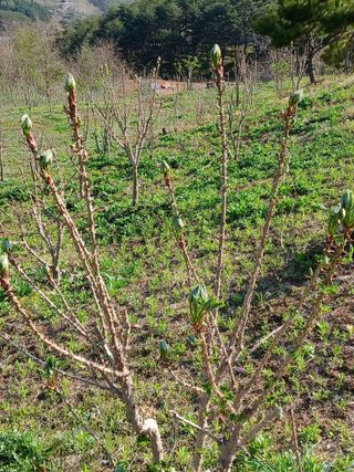 인생은 소풍처럼님의 자유주제 · 자유게시판 작성글 사진