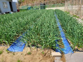 땅땅님의 자유주제 · 자유게시판 작성글 사진