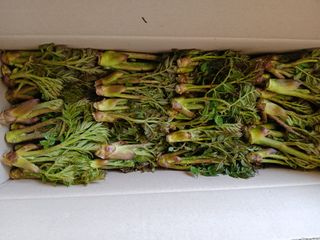 인생은 소풍처럼님의 자유주제 · 자유게시판 작성글 사진