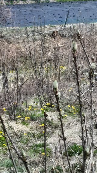 박승수님의 자유주제 · 자유게시판 작성글 사진