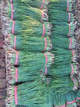 주인성님의 자유주제 · 사진전 작성글 사진