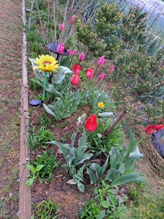 온시디움님의 자유주제 · 자유게시판 작성글 사진