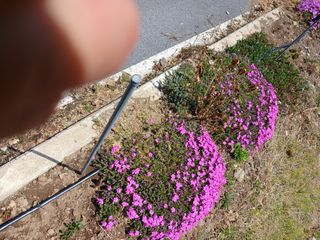 알 수 없음님의 자유주제 · 자유게시판 작성글 사진