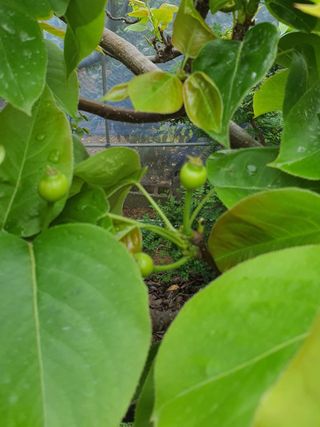 하나라도 소중하게님의 자유주제 · 자유게시판 작성글 사진