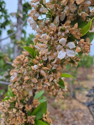 우리농원님의 자유주제 · 자유게시판 작성글 사진