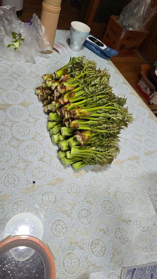 황규복(달구지)님의 자유주제 · 자유게시판 작성글 사진