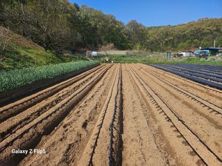 최경림님의 자유주제 · 자유게시판 작성글 사진