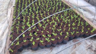 여우내 이순홍님의 자유주제 · 자유게시판 작성글 사진