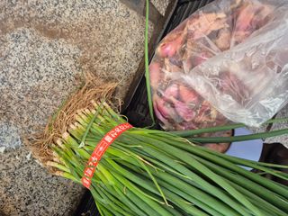 봉림동 태진농장님의 자유주제 · 자유게시판 작성글 사진