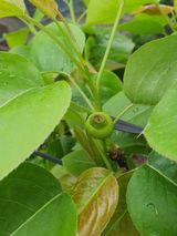 팜모닝 자유주제·자유게시판 게시글 이미지