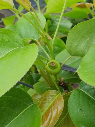 하나라도 소중하게님의 자유주제 · 자유게시판 작성글 사진