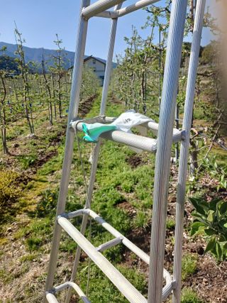 알 수 없음님의 자유주제 · 자유게시판 작성글 사진