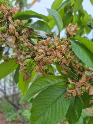 우리농원님의 자유주제 · 자유게시판 작성글 사진