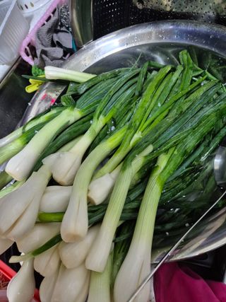 봉림동 태진농장님의 자유주제 · 자유게시판 작성글 사진