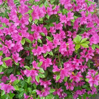 박철용 님의 자유주제 · 자유게시판 작성글 사진