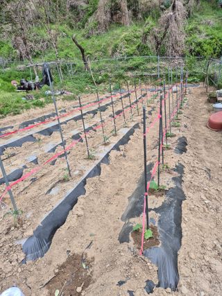봉림동 태진농장님의 자유주제 · 자유게시판 작성글 사진