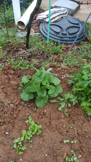 강현숙님의 자유주제 · 자유게시판 작성글 사진