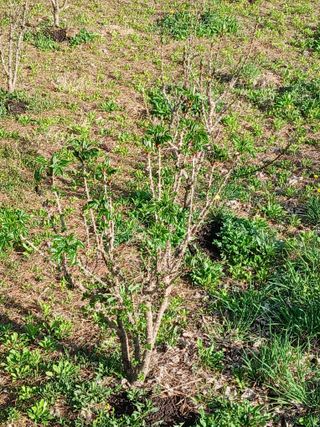 인생은 소풍처럼님의 자유주제 · 자유게시판 작성글 사진