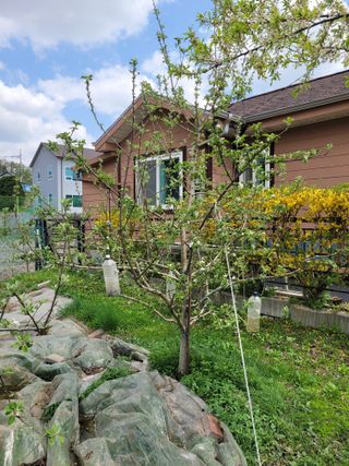 땅땅님의 자유주제 · 자유게시판 작성글 사진