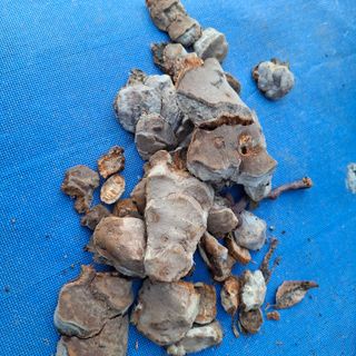 오영도님의 자유주제 · 자유게시판 작성글 사진