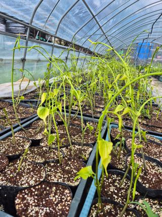 김영진(전남영광)님의 자유주제 · 자유게시판 작성글 사진