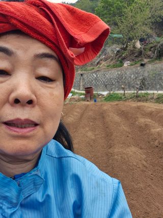 봉림동 태진농장님의 자유주제 · 자유게시판 작성글 사진