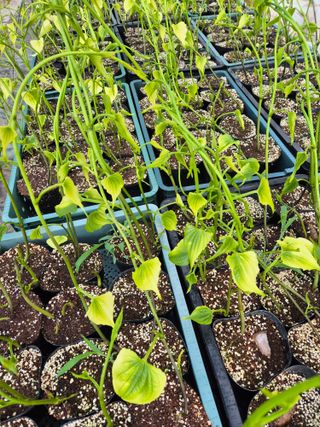 김영진(전남영광)님의 자유주제 · 자유게시판 작성글 사진