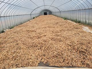 주인성님의 자유주제 · 사진전 작성글 사진