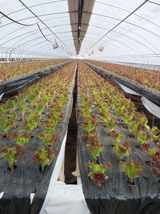 팜모닝 자유주제·자유게시판 게시글 이미지