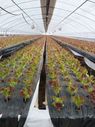 고두윤님의 자유주제 · 자유게시판 작성글 사진