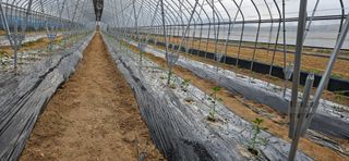 토성님의 자유주제 · 자유게시판 작성글 사진