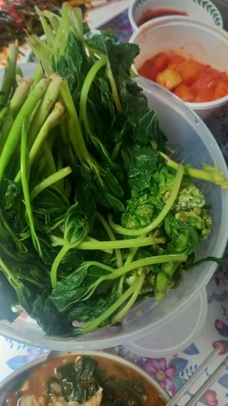 강현숙님의 자유주제 · 자유게시판 작성글 사진