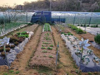 온시디움님의 자유주제 · 자유게시판 작성글 사진