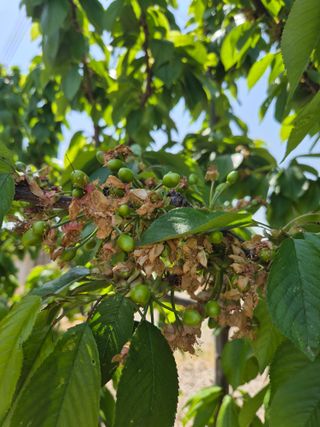 우리농원님의 자유주제 · 자유게시판 작성글 사진