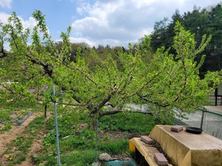 땅땅님의 자유주제 · 자유게시판 작성글 사진