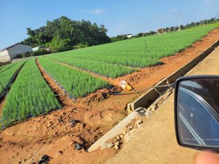 주인성님의 자유주제 · 사진전 작성글 사진