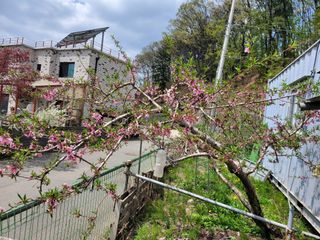 땅땅님의 자유주제 · 자유게시판 작성글 사진