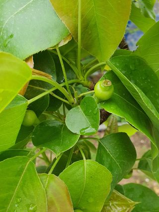 하나라도 소중하게님의 자유주제 · 자유게시판 작성글 사진
