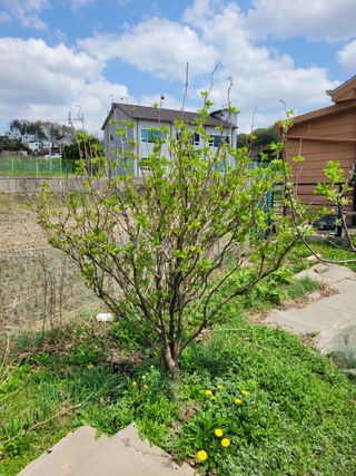 땅땅님의 자유주제 · 자유게시판 작성글 사진