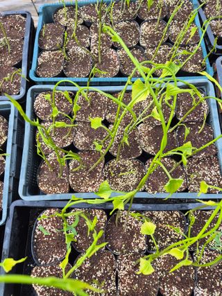 김영진(전남영광)님의 자유주제 · 자유게시판 작성글 사진