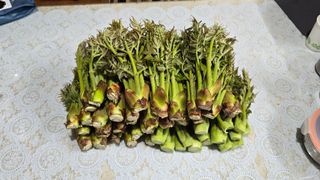 황규복(달구지)님의 자유주제 · 자유게시판 작성글 사진