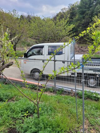 땅땅님의 자유주제 · 자유게시판 작성글 사진