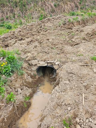 지식농부님의 자유주제 · 자유게시판 작성글 사진
