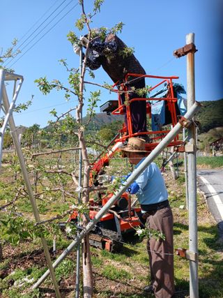 알 수 없음님의 자유주제 · 자유게시판 작성글 사진