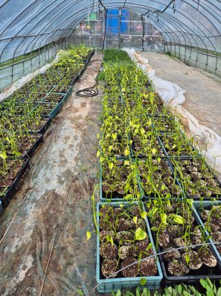 김영진(전남영광)님의 자유주제 · 자유게시판 작성글 사진