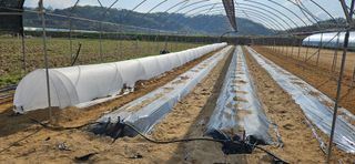 토성님의 자유주제 · 자유게시판 작성글 사진